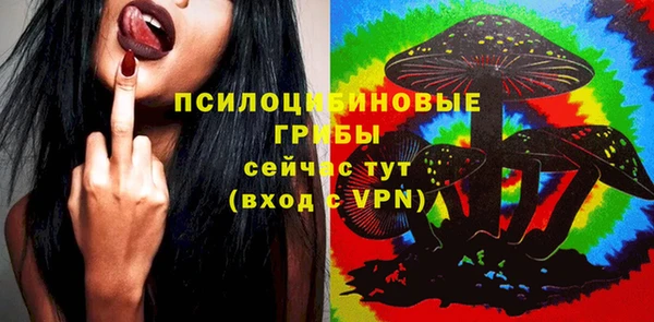 mix Козловка