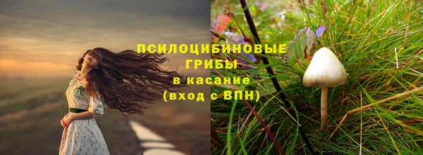 a pvp Кинешма